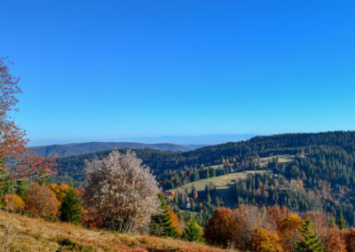 Feldberg im Schwarzwald