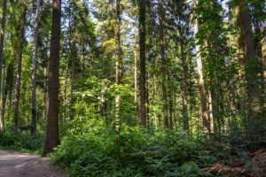 Himmelsleiter Schwäbisch Gmünd Taubental