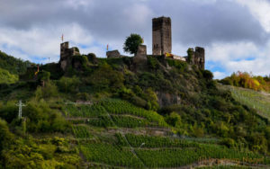Burg Metternich an der Mosel
