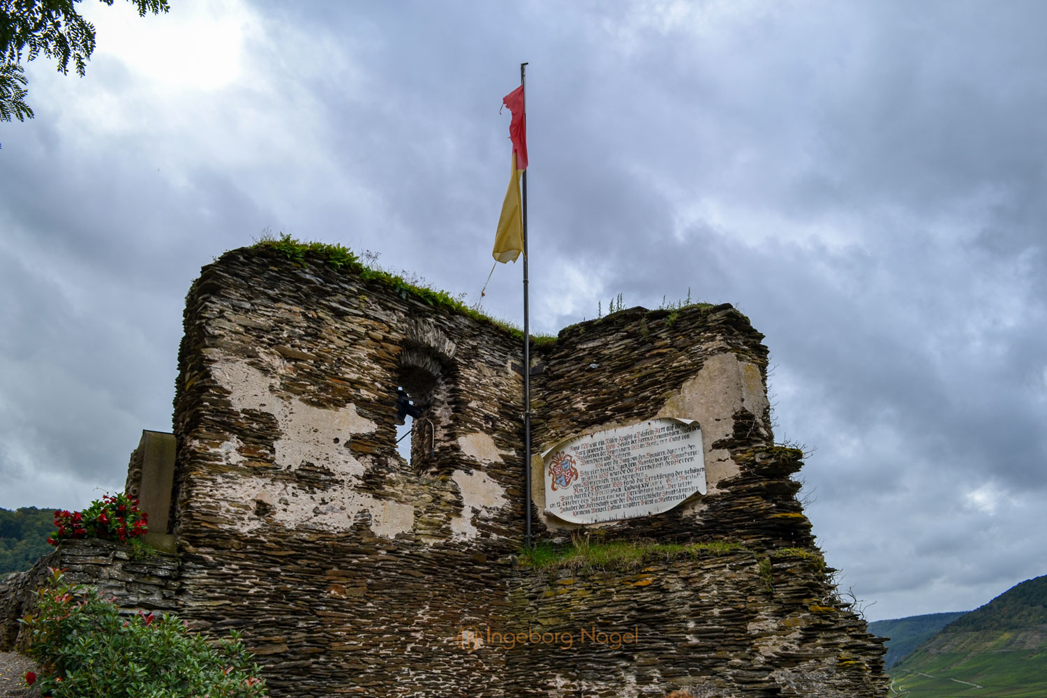Burg Metternich über Beilstein an der Mosel