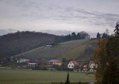 Roßbach-Advent in den Weinbergen