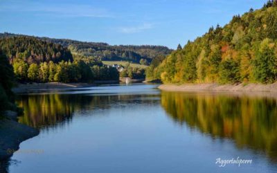 Viel Wald und Wasser – Im Sauerland