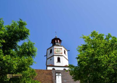 Ev. Stadtkirche Blaubeuren