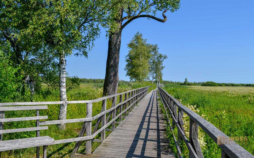 Federsee bei Bad Buchau