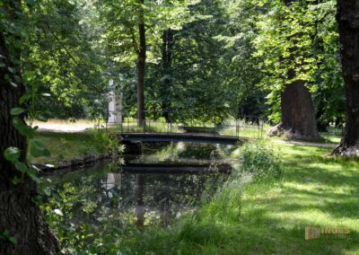 Englischer Garten Park Pillnitz