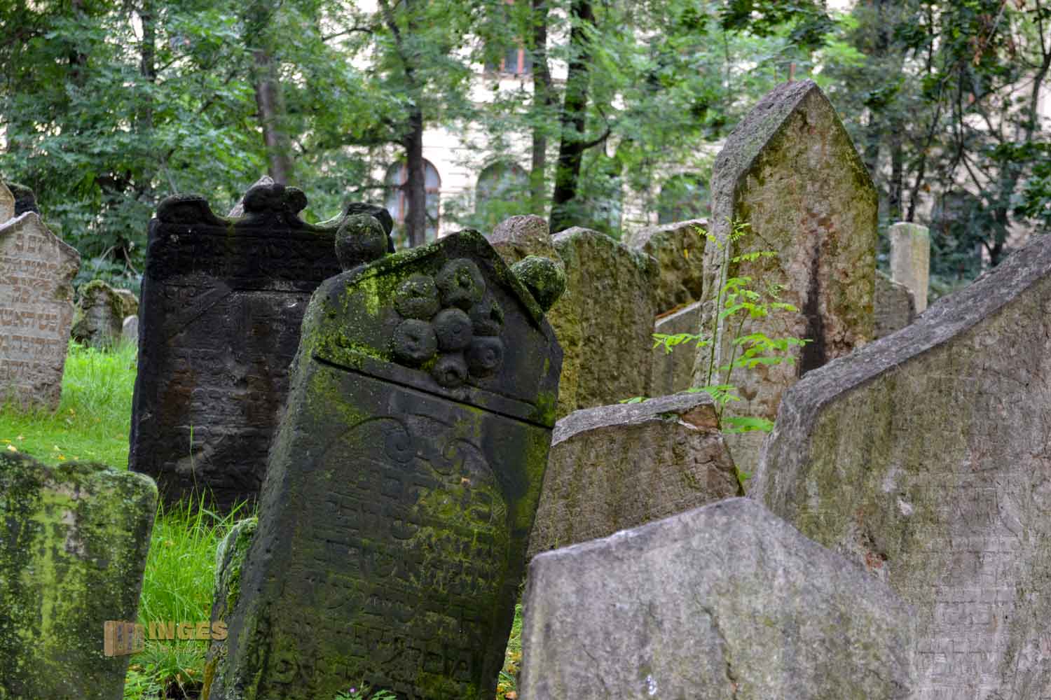 Alter jüdischer Friedhof in Prag