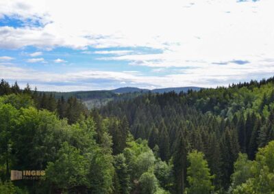 Natur auf dem Weg zur Talsperre Saidenbach