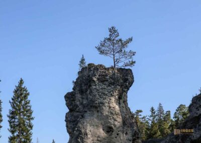 Felsenmeer im Wental