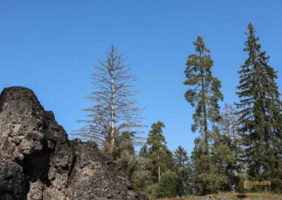 Felsenmeer im Wental