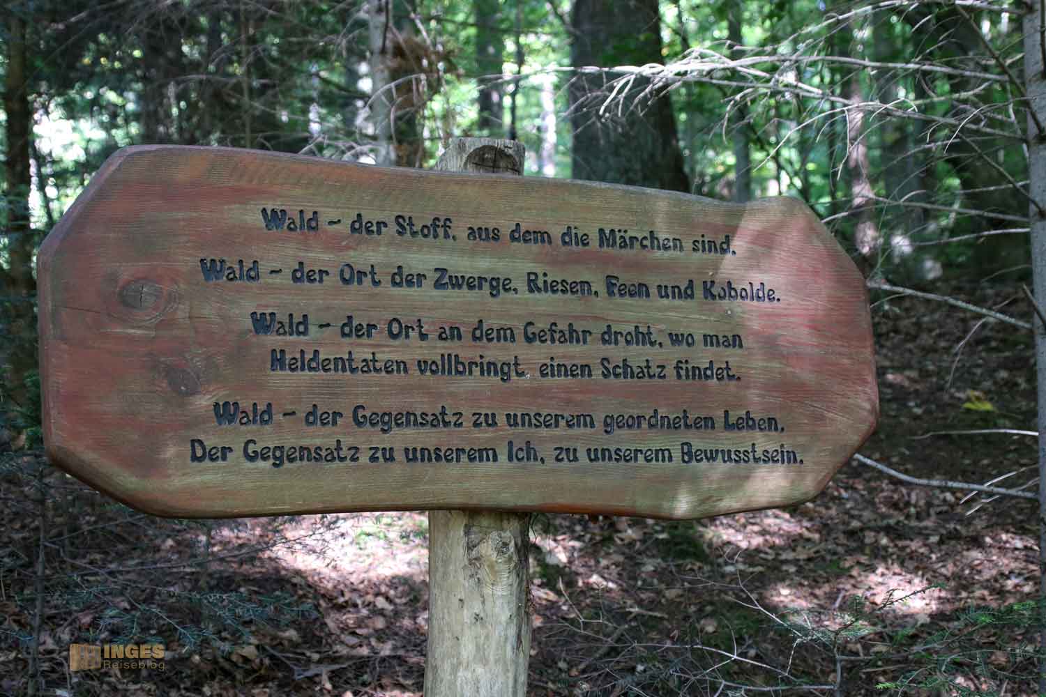 Koboldklinge am Waldlehrpfad am Herrenbachstausee