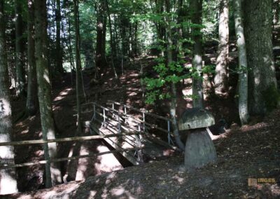 Koboldklinge am Waldlehrpfad am Herrenbachstausee