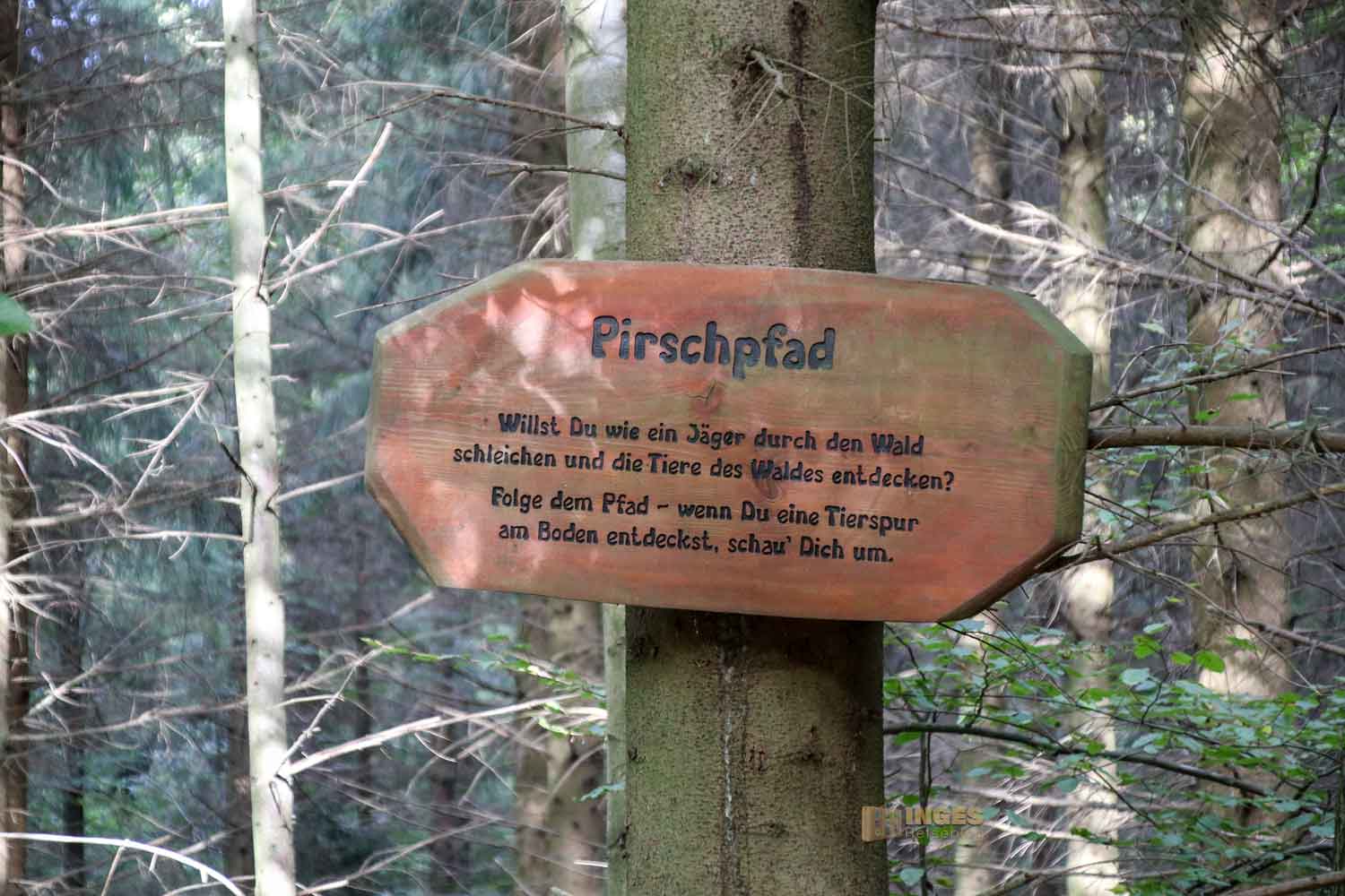 Waldlehrpfad am Herrenbachstausee