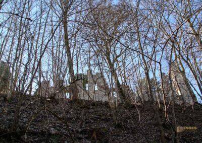 Ruine Lauterburg 0143