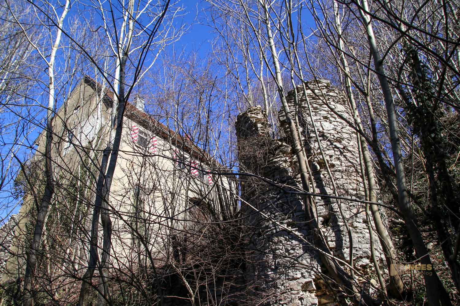 Ruine Lauterburg 0226