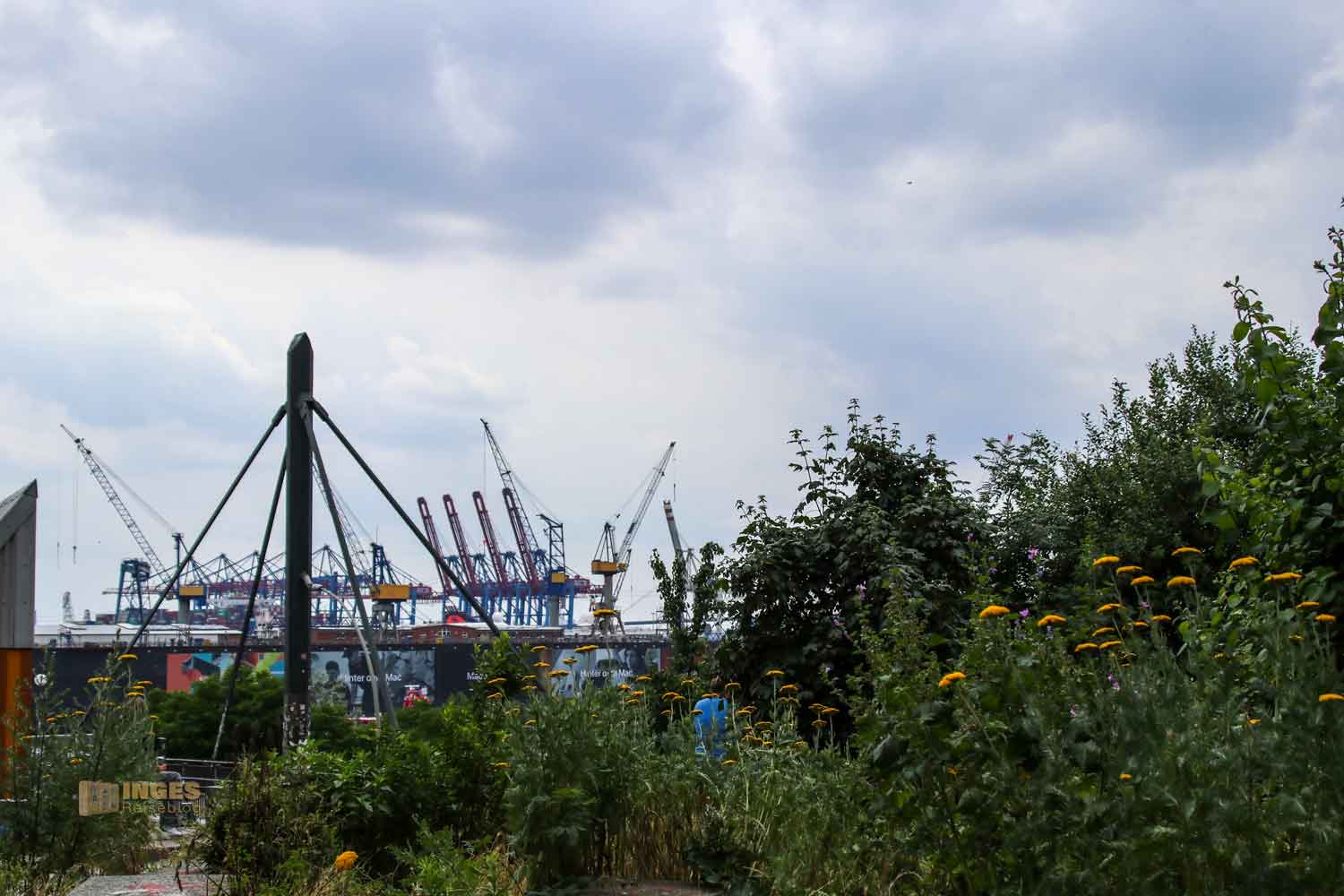 Blick auf Hamburg Hafencity 5885