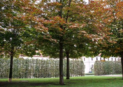 park im waldstein-garten in prag 1682