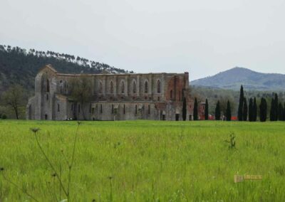 abteikirche san galgano toskana_5707