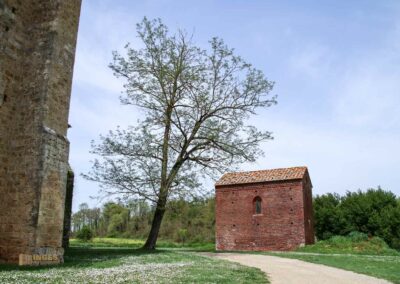 bei abtei san galgano_6049