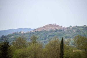 blick nach chiusdino von san galgano 5719