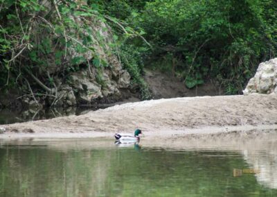 fluss farma bei bagni di petriolo_5593