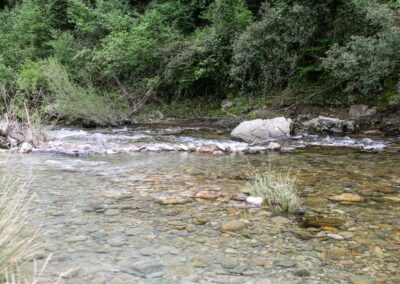 fluss farma bei bagni di petriolo_A0352