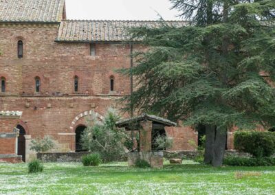 garten abtei san galgano_5794