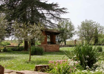 garten abtei san galgano_6024