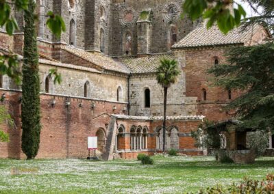 kreuzgang abtei san galgano_A0412