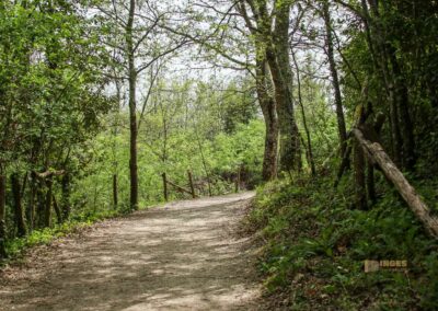 naturweg zur einsiedelei montesiepi_6085