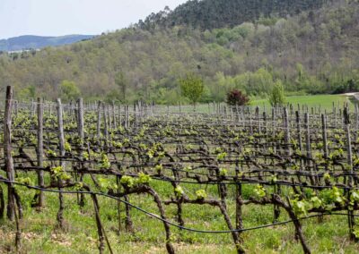 naturweg zur einsiedelei montesiepi_A0455