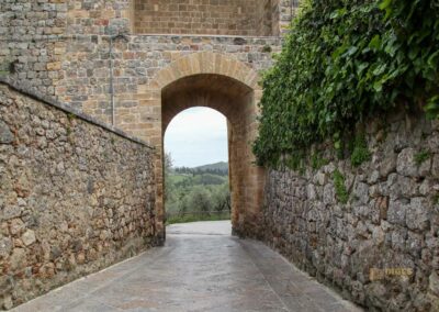 porta franca monteriggioni_6984