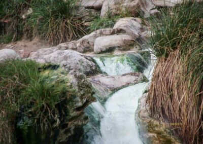 terme bagni di petriolo toskana_5634