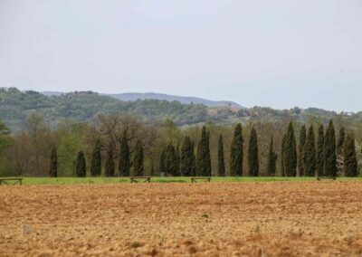 umland bei der abtei san galgano_5721