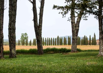 umland bei der abtei san galgano_5746