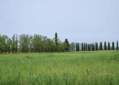 umland bei der abtei san galgano_5776