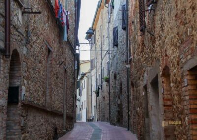 via aringhieri casole d'elsa_6516