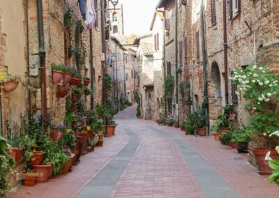 via san niccolo casole d'elsa toskana_6284