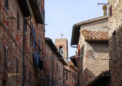 via san niccolo casole d'elsa toskana_6309