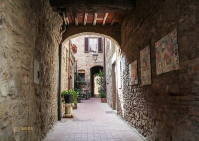 via san niccolo casole d'elsa toskana_6313