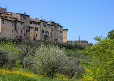 colle alto colle di val d'elsa_A0583