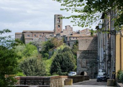 dom colle di val d'elsa_A0587