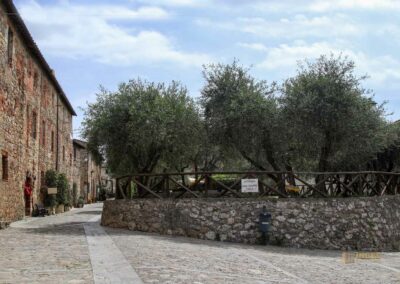 in monteriggioni_6868