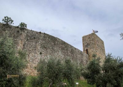 mauerring und tuerme von monteriggioni_6723