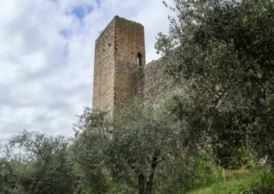 mauerring und tuerme von monteriggioni_7002