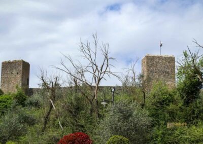 mauerring und tuerme von monteriggioni_7016