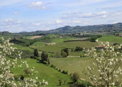 ausblick von palazzo pretorio certaldo_8015