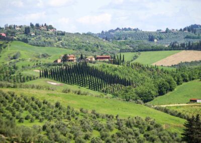 ausblick von palazzo pretorio certaldo_8040