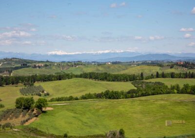 ausblick von palazzo pretorio certaldo_A0705