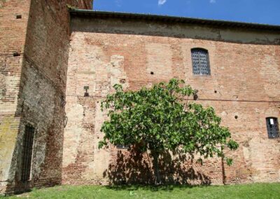 burghof palazzo pretorio certaldo_8143