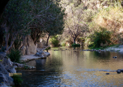 fonts de algar_0060